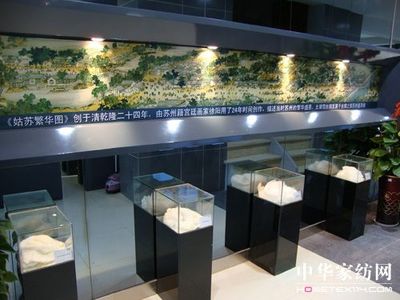 太湖雪冠名“昆山琼花艺术节”青少年宫活动盛况